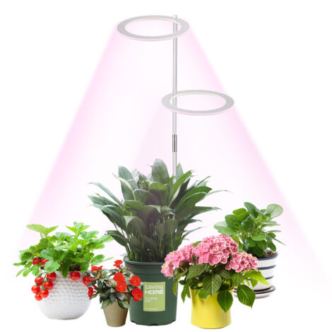 Lámpara LED de espectro completo para plantas de interior, 2 brazos, temporizador para flores y hortalizas, rosa y blanco.