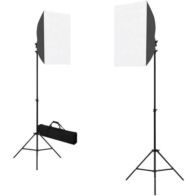 

vidaXL Lámparas de estudio profesional 2 uds acero negro 40x60 cm - Negro