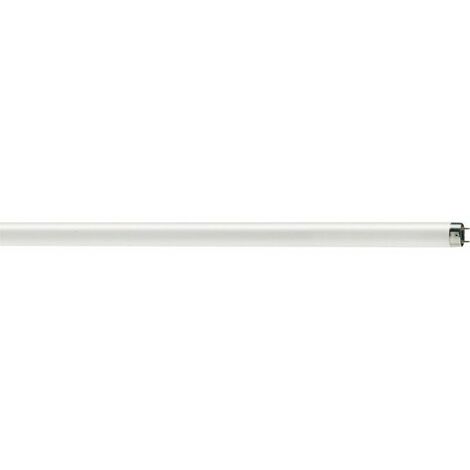 Lámparas fluorescentes T8 58W G13 5250LM 830 150cm (por 6)