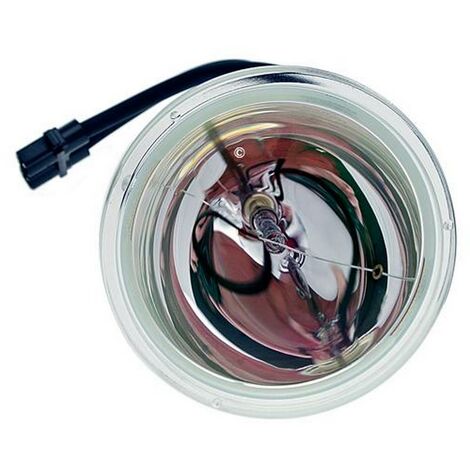 Lampe