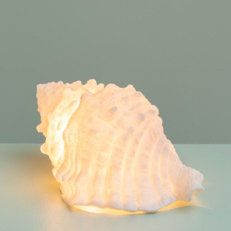 Lampe à Poser Coquillage Blanche en Résine et Poudre de Pierre 43x22x17cm