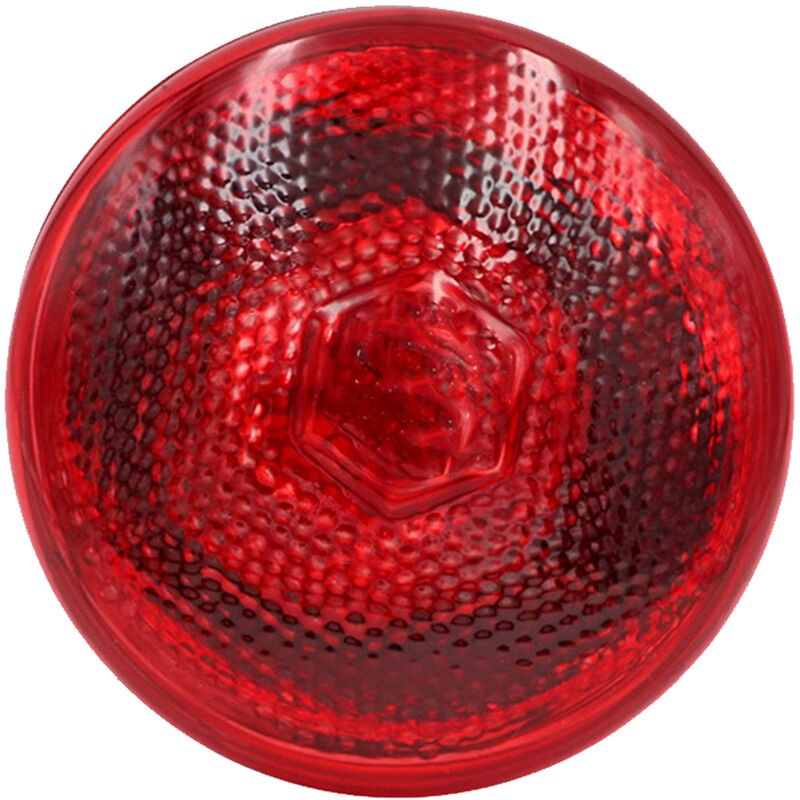 Lampe Chauffante Pour Reptiles Emetteur De Chaleur Amphibien Couveuse Coop Lezard Aquarium Serpent Ampoule De Lampe A Haute Intensite Pour Animaux De