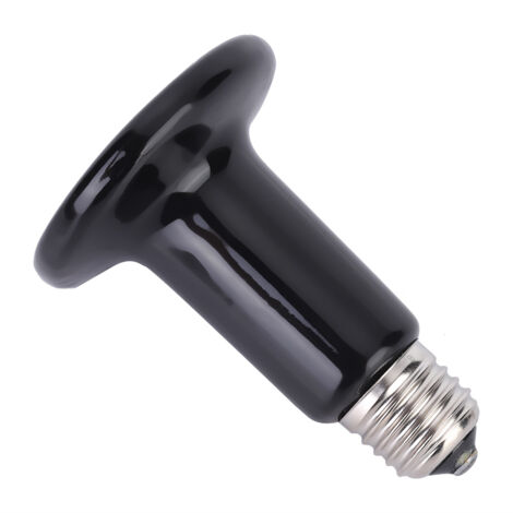 Lampe chauffante infrarouge en céramique 200W pour reptiles, ampoule E27 220V-240V pour terrarium