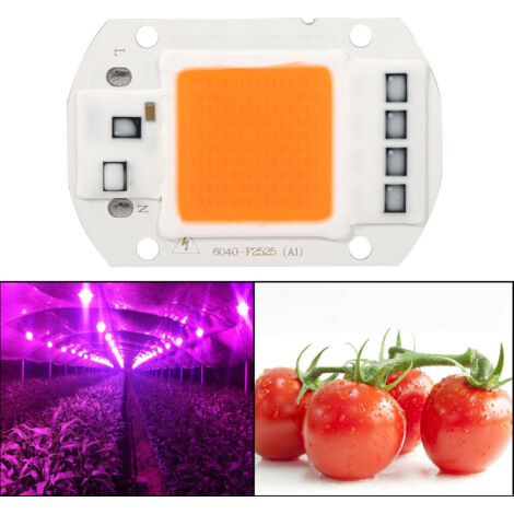 [Lampe de croissance] Lampe LED COB à spectre complet 50W, aluminium, 60x40mm, 120°, 380-840nm