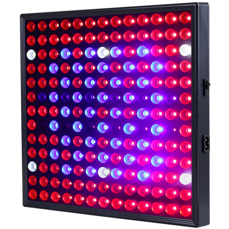 Lampe de croissance LED 12 W à prix ultra bas, solution d'éclairage pour installation et croissance des plantes, COB blanc - 169 LED