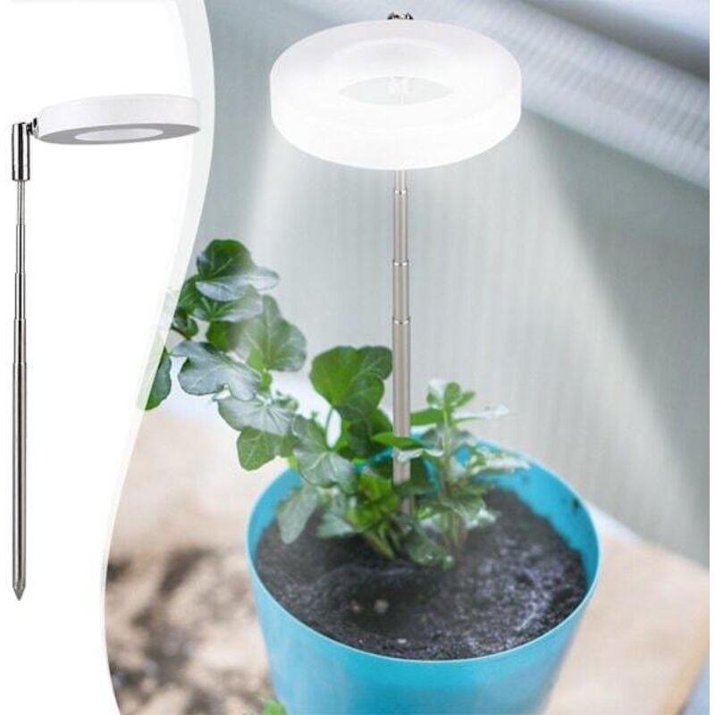 Lampe de croissance pour plantes à spectre complet rechargeable par USB, luminosité réglable, lampe de croissance LED pour plantes.