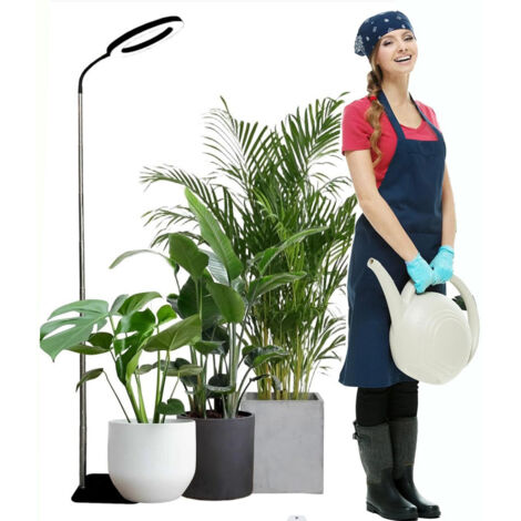 Lampe de croissance pour plantes en pot Angel Ring de 15 cm (6 pouces), modèle à poser sur pied ou à fixer sur support pour plantes, spectre complet, minuterie cyclique, noire