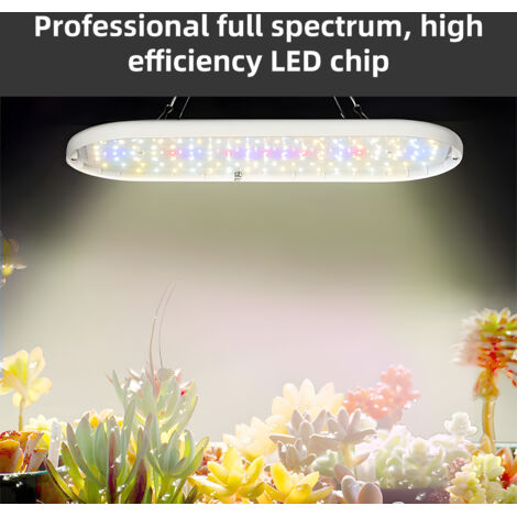 Lampe de culture LED Spectrum complet 10W 2H/4H/8H Timer 4 niveaux Lumière végétale pour plantes d'intérieur fleurs semis légumes poivre suspensible