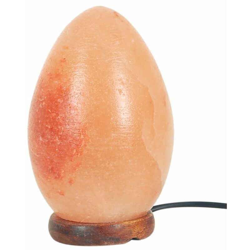Lampe de sel en forme d'œuf