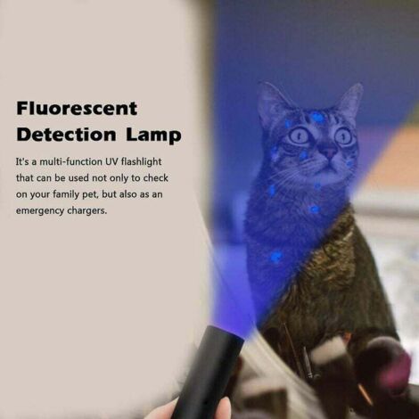 Lampe de teigne Uv 365nm lampe de test de champignon lampe lampe de charge Usb lampe Uv lampe de poche détection de fluorescence lampe de teigne