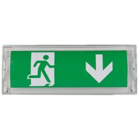 Lampe d'éclairage de secours LED – Batterie 3h – IP65 – Panneau de sortie lumineux – Pour hôtels, bars, restaurants, écoles