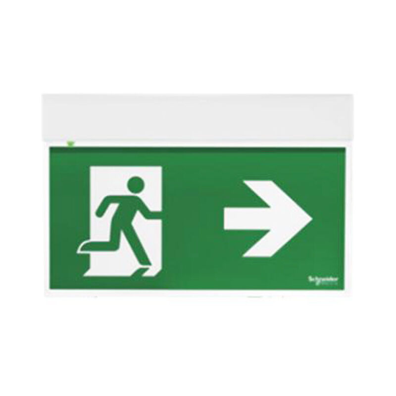 Schneider Electric - Lampe d'urgence drapeau Schneider ExEasysign 24 Mètres de si-sa OVA38250