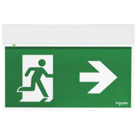 Lampe d'urgence drapeau Schneider ExEasysign 24 Mètres de SI-SA OVA38250