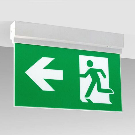 Lampe d'urgence LED SIGN Surface SL1, blanc froid