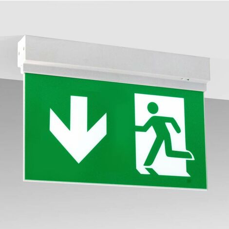 Lampe d'urgence LED SIGN Surface SL2, blanc froid