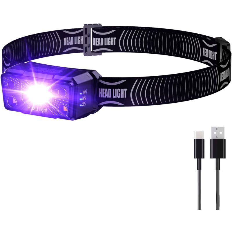 Lampe frontale UV à lumière noire rechargeable 395 nm avec lumière blanche et ultraviolette, détecteur pour taches d'urine de chien, chat, punaises