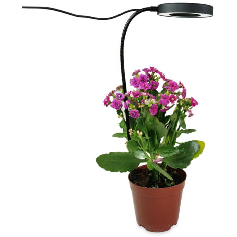 Lampe horticole à brancher au sol, à intensité variable et programmable, imitation lumière du soleil, pour pots de plantes succulentes.