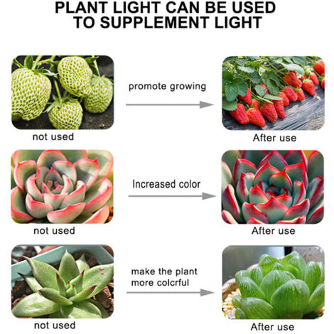 Lampe LED pour plantes E27, Ampoule pour croissance végétale