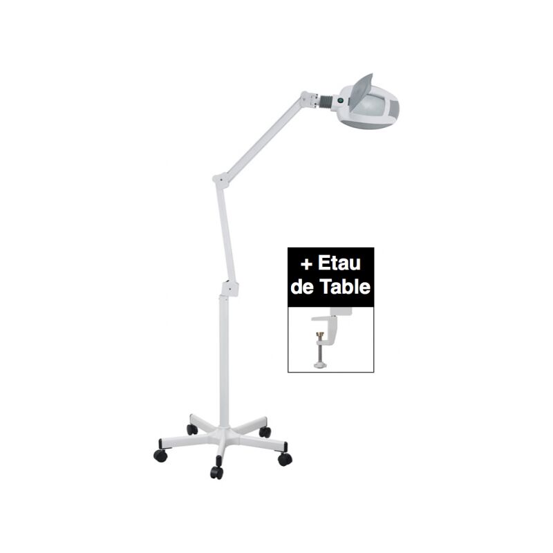 Lampe loupe LED pro avec étau et base à roulettes 5 dioptries (14 LEDS) - Weelko