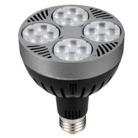 Lampe Par30 E27 36 Watt 24 Led Spotlight Cold Light P30-1 Spot