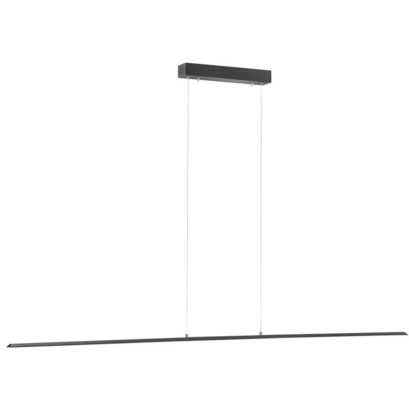 Lampe suspendue design Pure Lite 160 cm anthracite - 8377-13 Lampe suspendue design Pure Lite 160 cm anthracite - 8377-13