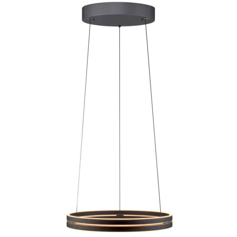 Lampe suspendue élégante Pure E-Loop black - 2550-18 Lampe suspendue élégante Pure E-Loop black - 2550-18