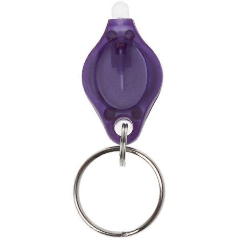 Lampe torche portable pour porte-clés, mini porte-clés UV, détecteur de pièces d'identité, de billets et de passeports