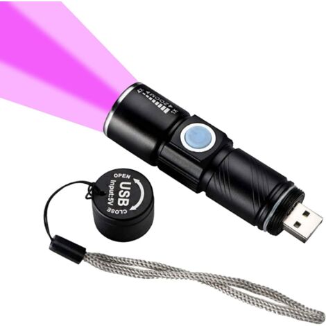 Mini-lampe UV à ondes longues, portable, EDVOTEK® - Materiel pour  Laboratoire