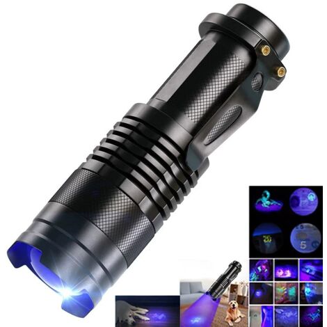 Lampe torche UV 365 nm, lumière noire LED UV, zoomable