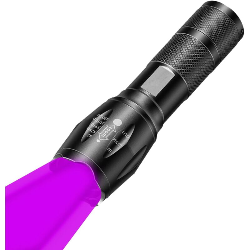Lampe Torche UV, Lampe de Poche Ultra Violette avec Lumière Noire 365nm et 395nm Torche UV Zoomable Détecteur d'urine pour Animaux de Compagnie