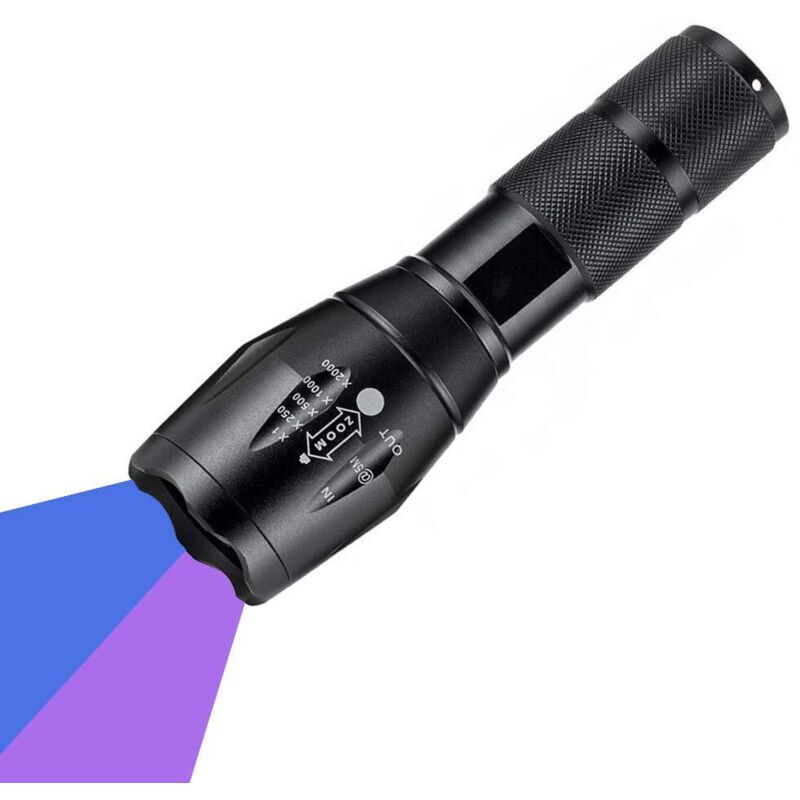 Lampe torche UV - Lampe torche à lumière noire - Détecteur d'urine, de faux billets et autres taches - Détecteur compact - Double LED UV - Mise au