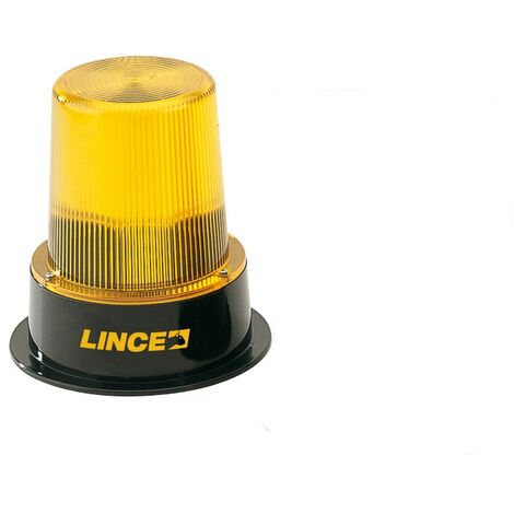 Lampeggiatore Elettronico E Lampada Ad Incandescenza