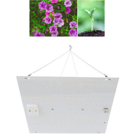 Lampes de croissance à LED pour plantes d'intérieur IP65 Lampes de croissance de plantes à spectre complet étanches pour semis, végétation et floraison AC100-277 V Prise UE,DUBUNS