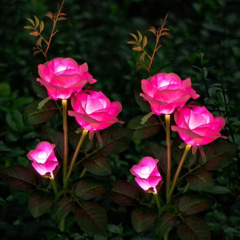 Lampes solaires de jardin - Lot de 2 lampes décoratives d'extérieur étanches, lumière rose blanche pour jardin, terrasse, cour, parterre de fleurs,