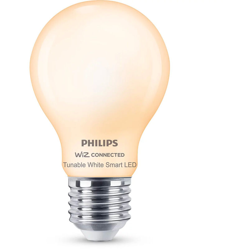 Lampadina in vetro smerigliato