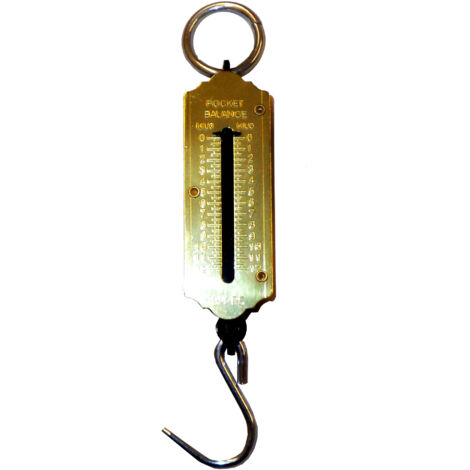 Lams Gewichtshaken Dynamometer 50 kg