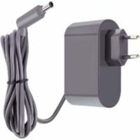 LAN Adaptateur secteur de remplacement pour Dyson V6 V7 V8 DC58 DC59 DC61 DC62 SV03 SV04 SV05 SV06 Absolute Animal Fluffy Motorhead