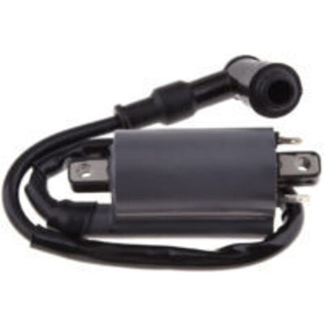 LAN Bobine d'allumage pour moteur Buyang 260 260cc 300cc D300 G300