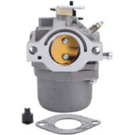 LAN Carburateur S-giant Briggs & Stratton 285707 289707 28B705 28M707 pour moteur