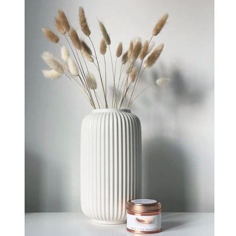 LAN Hauteur 20 cm Vase Côtelé en Ceramique Blanc pour Pampa, Vases Decoratif pour Centre de Table Decoration