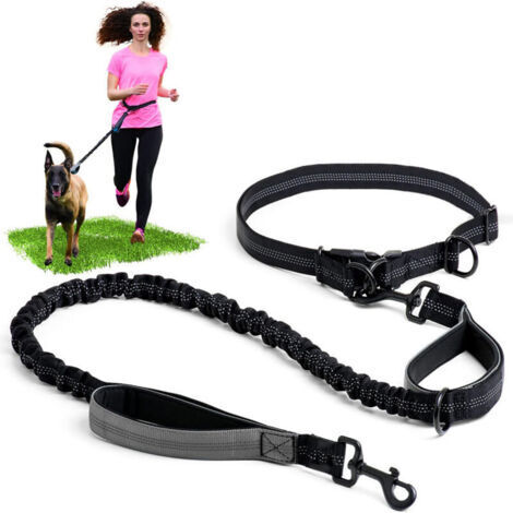 LAN Laisse mains libres pour chien avec coutures réfléchissantes - Laisse de taille pour promenade, randonnée, entraînement, jogging, canicross, course à pied - pour races moyennes et grandes