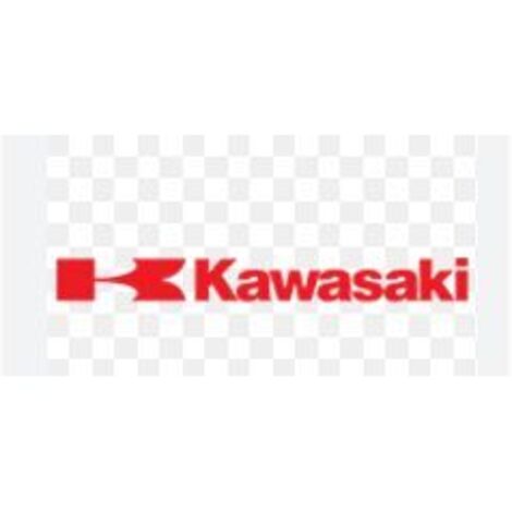 lanceur complet - 490882166 - Kawasaki