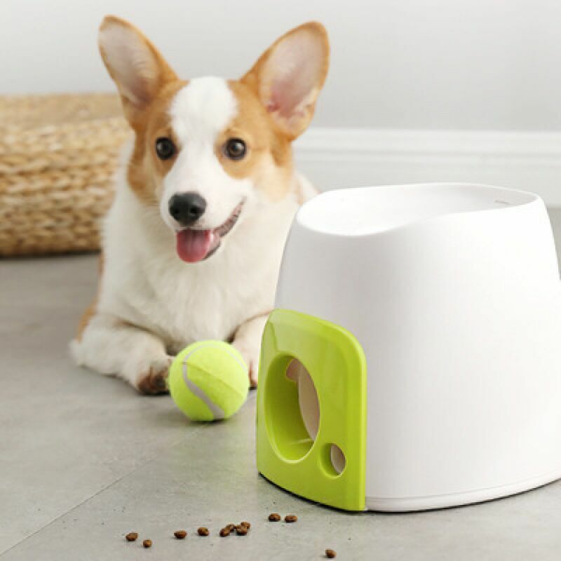 Lanceur de balle automatique interactif pour chien - Machine de récompense alimentaire - Machine à lancer de balle de tennis pour dressage de