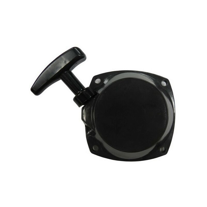 Bestgreen - Lanceur débroussailleuse / ggp