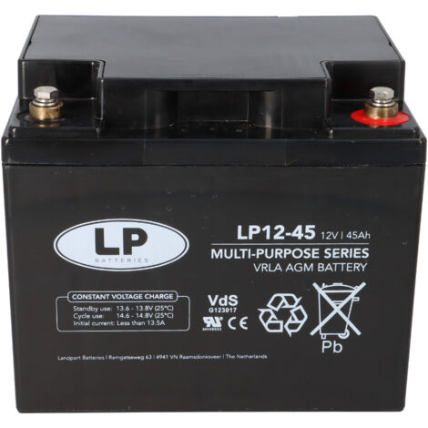 Landport Bleiakku 12V 45Ah AGM Batterie NSA LP12-45 T6 VDS