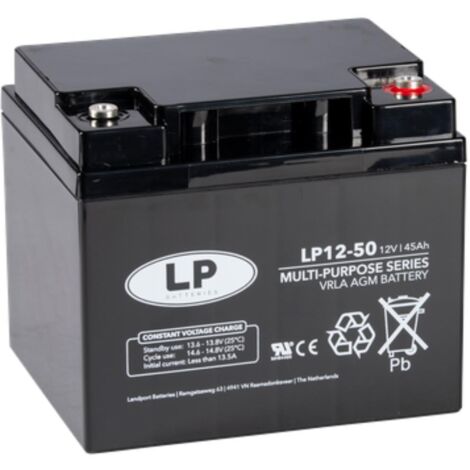 Landport Bleiakku 12V 45Ah AGM Batterie NSA LP12-50 T6