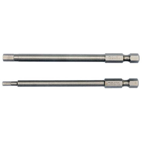 Lange Sicherheits-Innensechskant-Bits 3x100 mm & 5x100 mm, 2-teilig