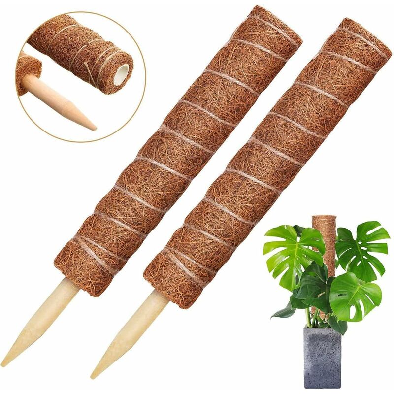 Langray - 2 piezas de soporte para plantas de estaca de coco, 30 cm / 40 cm de planta de palo de coco, poste de fibra de coco para plantas trepadoras