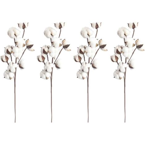 LangRay 4 tiges de coton blanc naturel, 10 capsules de coton par tige, 53,3 cm, pics à fleurs, style campagnard, décoration.