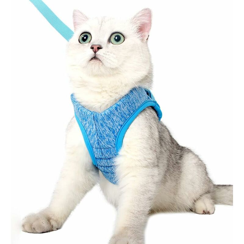 Harnais pour Chat - Ensemble de Harnais et Laisse Chat Ultra-Léger Harnais Chaton Réglable Anti-Fuite pour Chiot Lapin Furet(Bleu,S) - Langray